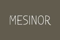 logo-Mesinor